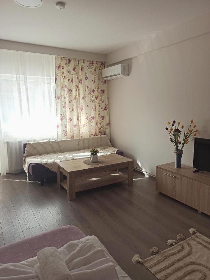 City Premium Apartments Timisoara Exterior photo